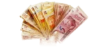 ฝาก-ถอน เร็ว 100% by flixbet69